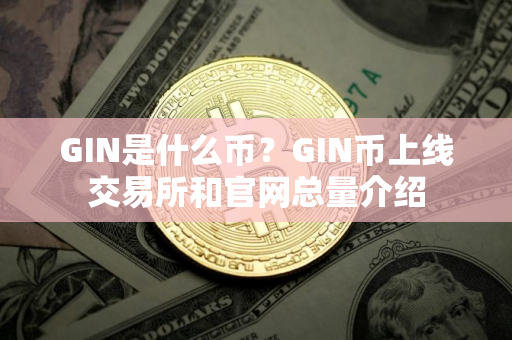 GIN是什么币？GIN币上线交易所和官网总量介绍