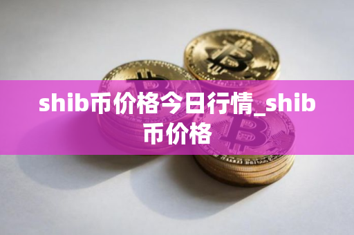 shib币价格今日行情_shib币价格
