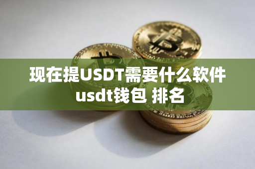 现在提USDT需要什么软件 usdt钱包 排名