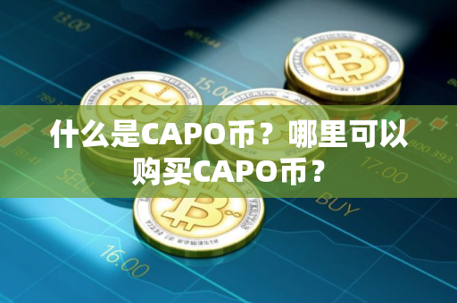 什么是CAPO币？哪里可以购买CAPO币？