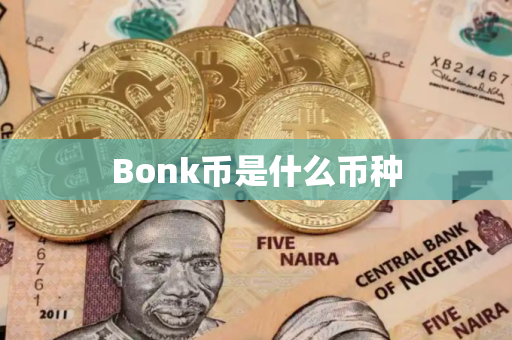 Bonk币是什么币种