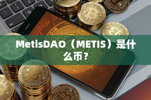 MetisDAO（METIS）是什么币？