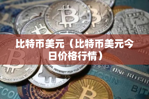 比特币美元（比特币美元今日价格行情）
