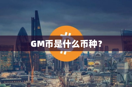 GM币是什么币种？