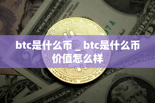 btc是什么币 _ btc是什么币价值怎么样