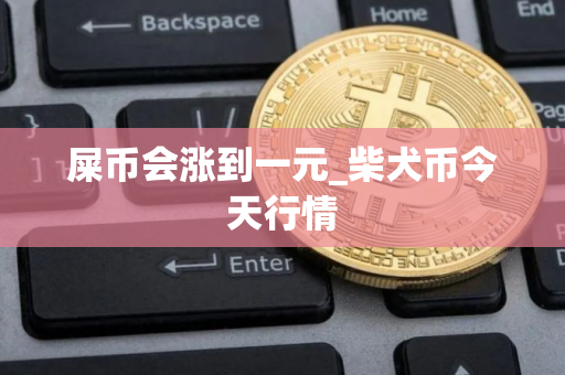 屎币会涨到一元_柴犬币今天行情