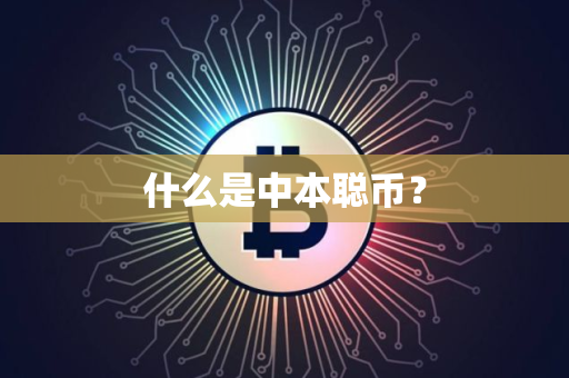 什么是中本聪币？
