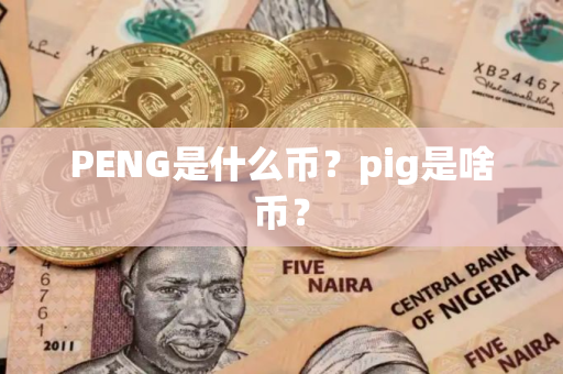 PENG是什么币？pig是啥币？