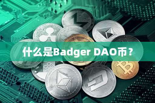 什么是Badger DAO币？