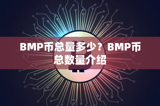 BMP币总量多少？BMP币总数量介绍