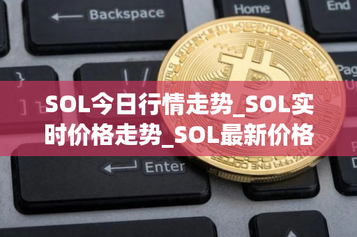 SOL今日行情走势_SOL实时价格走势_SOL最新价格