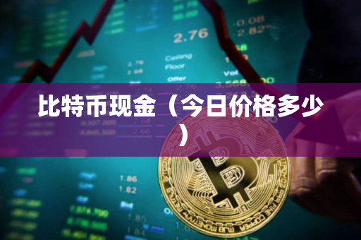 比特币现金（今日价格多少）
