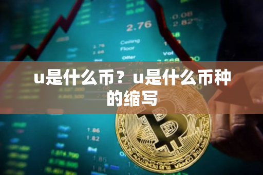 u是什么币？u是什么币种的缩写