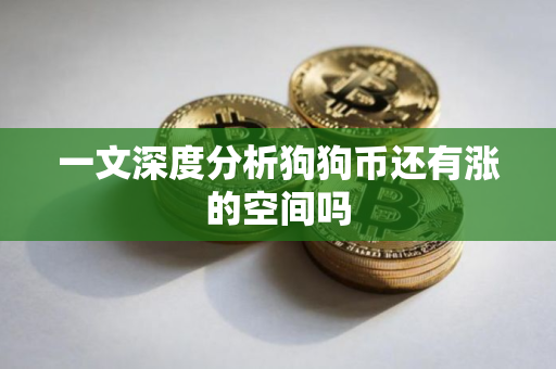 一文深度分析狗狗币还有涨的空间吗