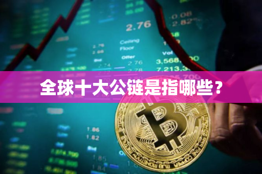 全球十大公链是指哪些？