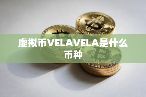 虚拟币VELAVELA是什么币种