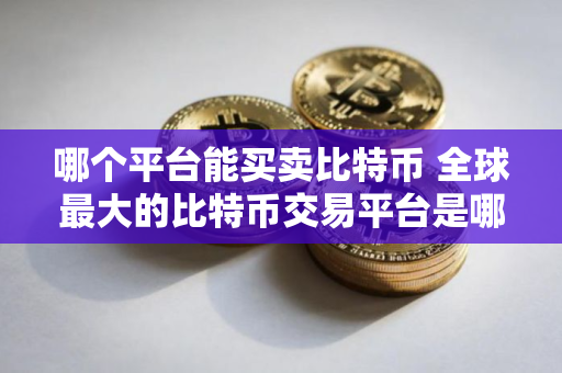 哪个平台能买卖比特币 全球最大的比特币交易平台是哪个