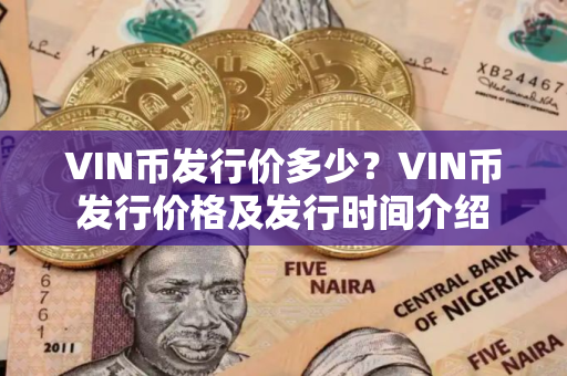 VIN币发行价多少？VIN币发行价格及发行时间介绍