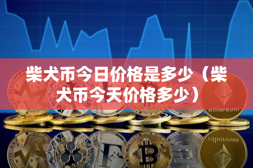 柴犬币今日价格是多少（柴犬币今天价格多少）