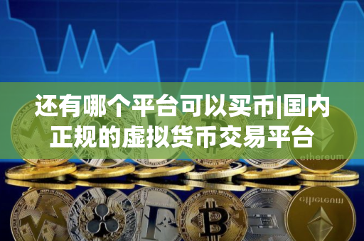 还有哪个平台可以买币|国内正规的虚拟货币交易平台 还有哪个平台可以买币|国内正规的虚拟货币交易平台