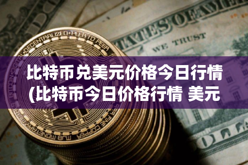 比特币兑美元价格今日行情(比特币今日价格行情 美元)