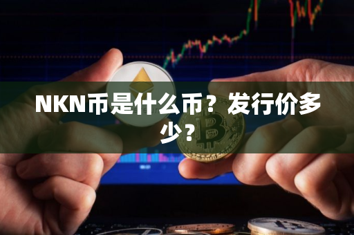 NKN币是什么币？发行价多少？