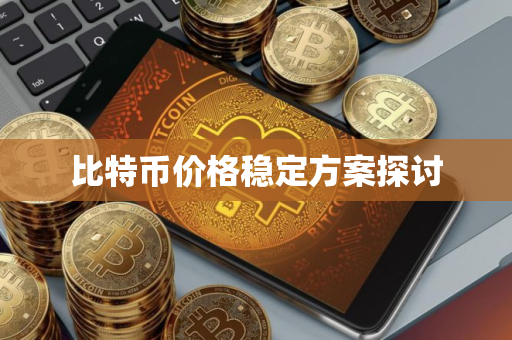 比特币价格稳定方案探讨