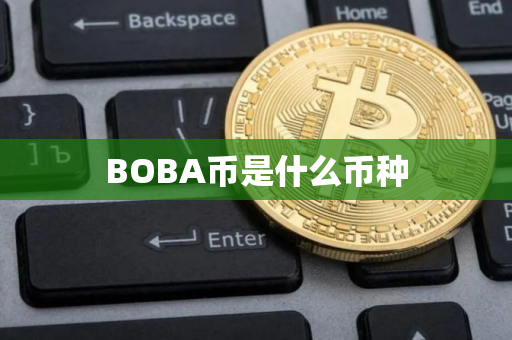BOBA币是什么币种