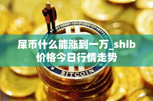 屎币什么能涨到一万_shib价格今日行情走势