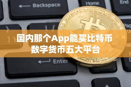 国内那个App能买比特币 数字货币五大平台