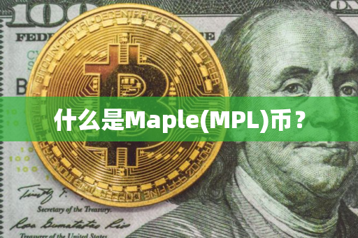 什么是Maple(MPL)币？
