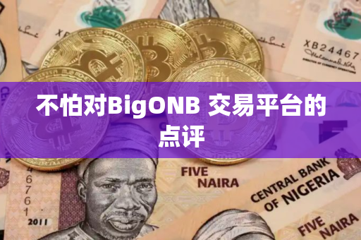 不怕对BigONB 交易平台的点评