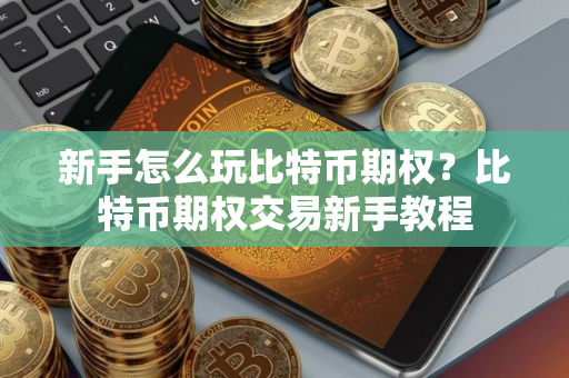 新手怎么玩比特币期权？比特币期权交易新手教程