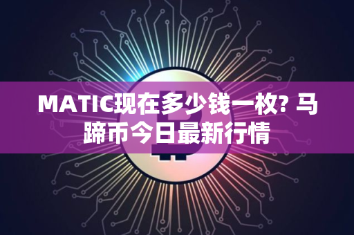 MATIC现在多少钱一枚? 马蹄币今日最新行情