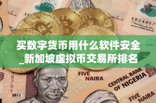 买数字货币用什么软件安全_新加坡虚拟币交易所排名_买币APP有哪些