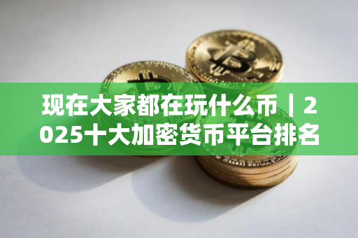 现在大家都在玩什么币｜2025十大加密货币平台排名