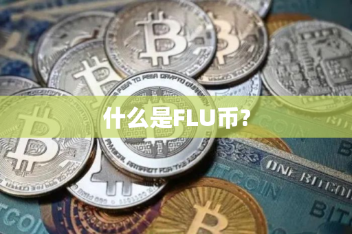 什么是FLU币?
