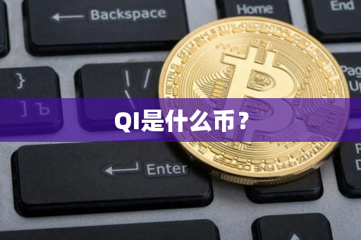 QI是什么币？
