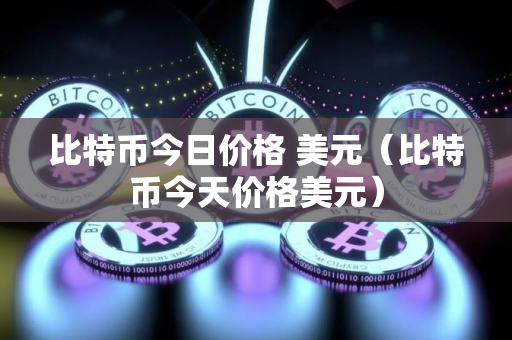 比特币今日价格 美元（比特币今天价格美元）