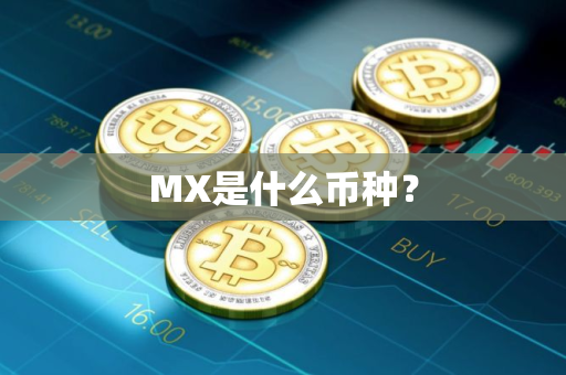 MX是什么币种？