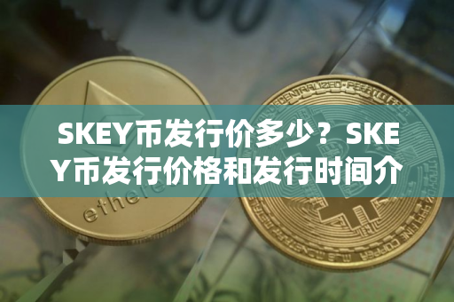 SKEY币发行价多少？SKEY币发行价格和发行时间介绍