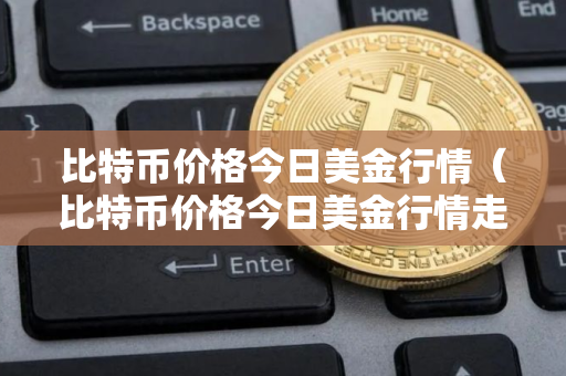 比特币价格今日美金行情（比特币价格今日美金行情走势）