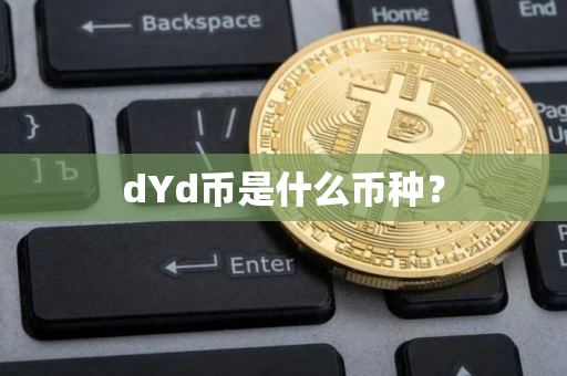dYd币是什么币种？
