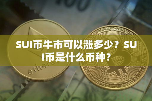 SUI币牛市可以涨多少？SUI币是什么币种？
