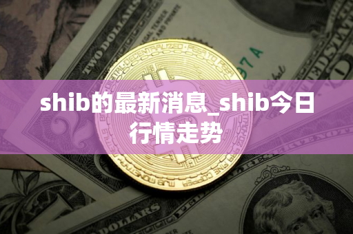 shib的最新消息_shib今日行情走势