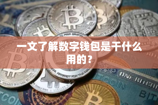 一文了解数字钱包是干什么用的？
