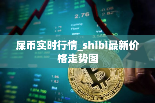 屎币实时行情_shibi最新价格走势图