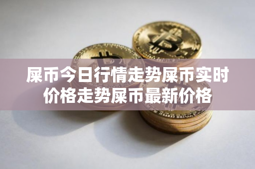 屎币今日行情走势屎币实时价格走势屎币最新价格