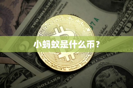 小蚂蚁是什么币？