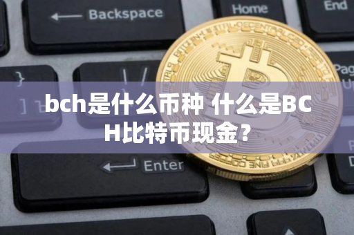 bch是什么币种 什么是BCH比特币现金？